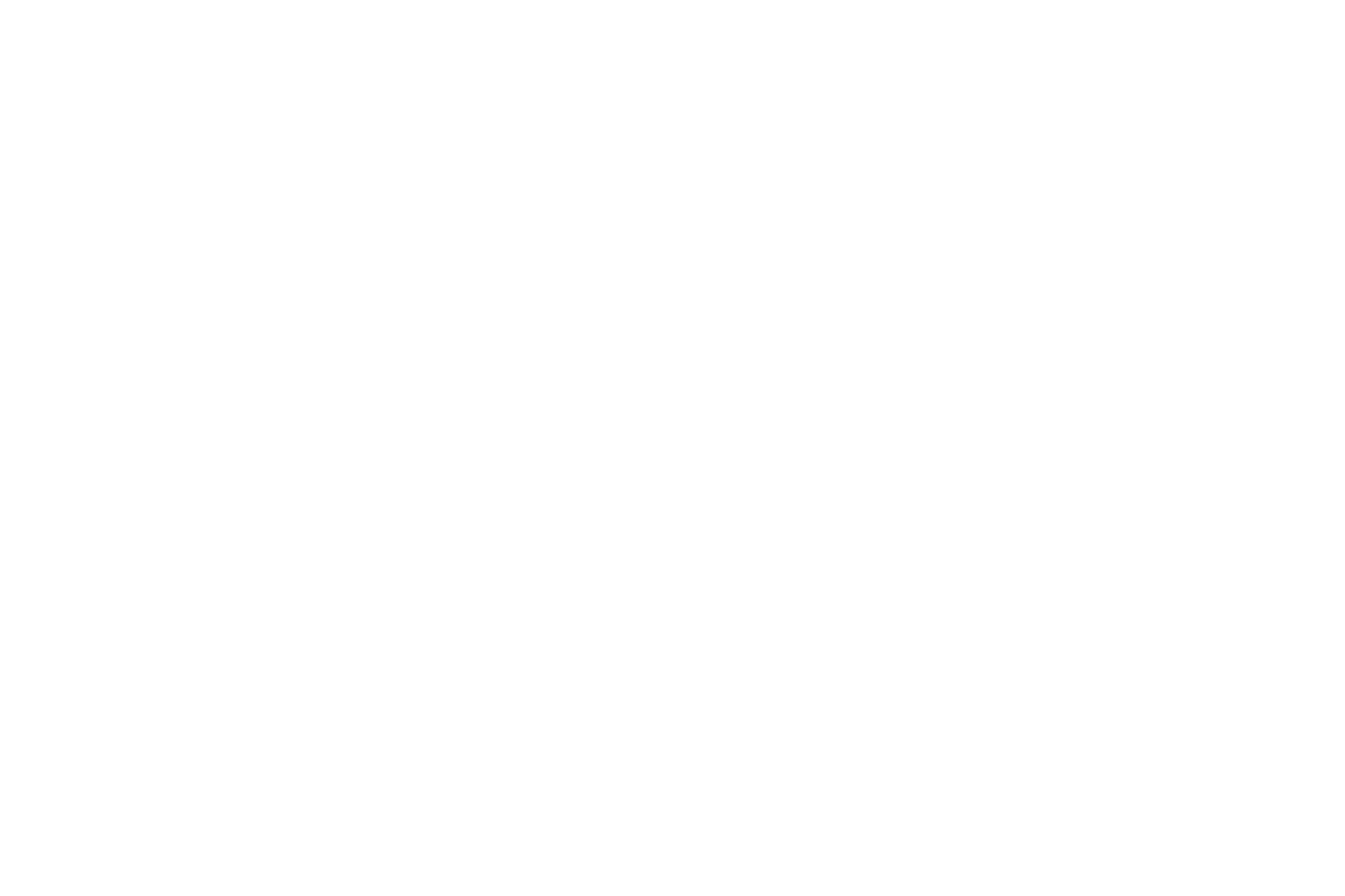 JAP_Business_finish_white